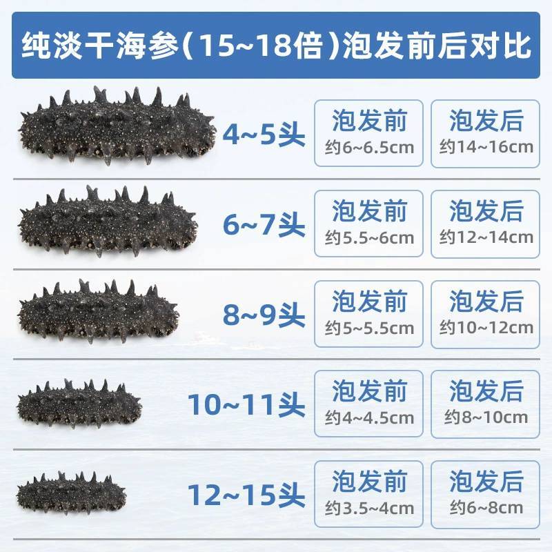 大连纯淡干海参干货批发500g深海底播辽刺参散装水产海鲜
