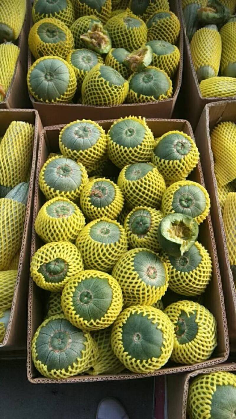 绿宝甜瓜，