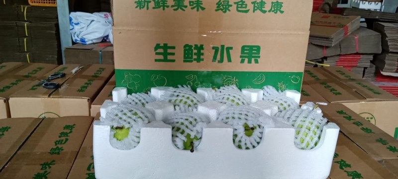 早酥梨，产地直发，支持一件代发