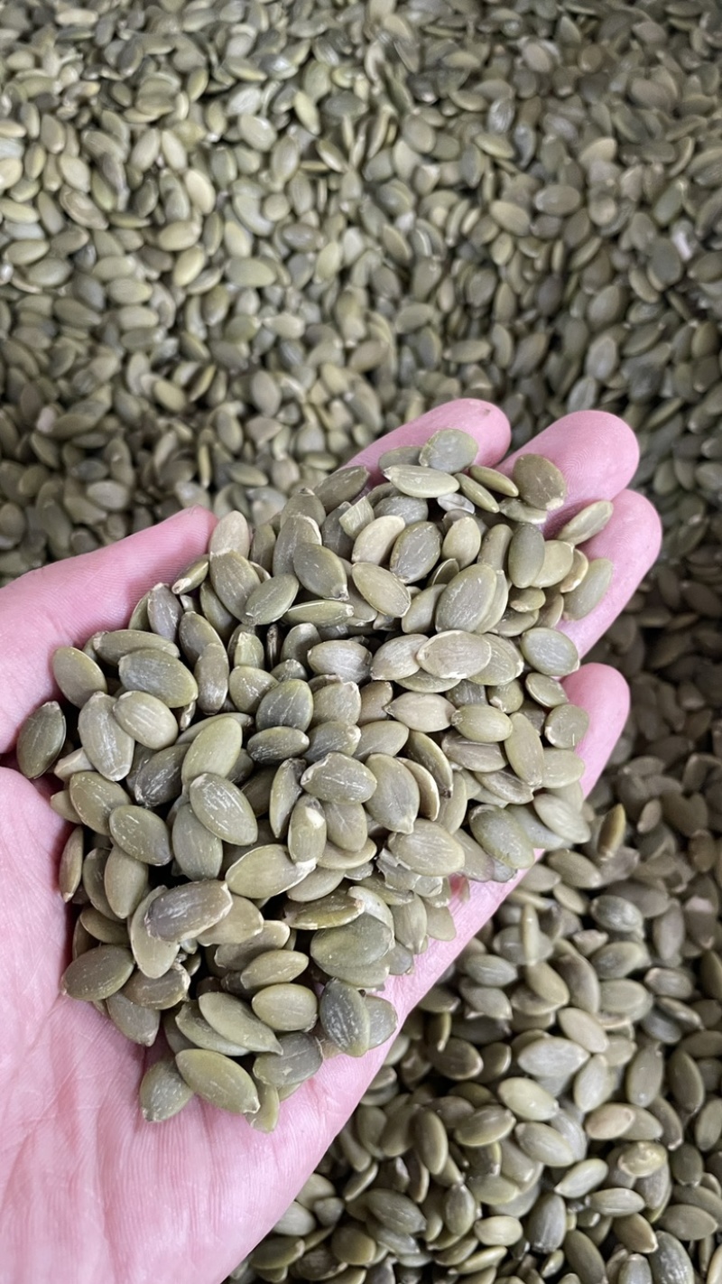 中药材批发南瓜子保真保量产地直售批发价格