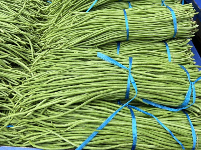 豆角炒茄子成品图