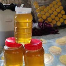 【精品】福建土蜂蜜，中蜂蜂蜜，质量保证，欢迎视频来电选购