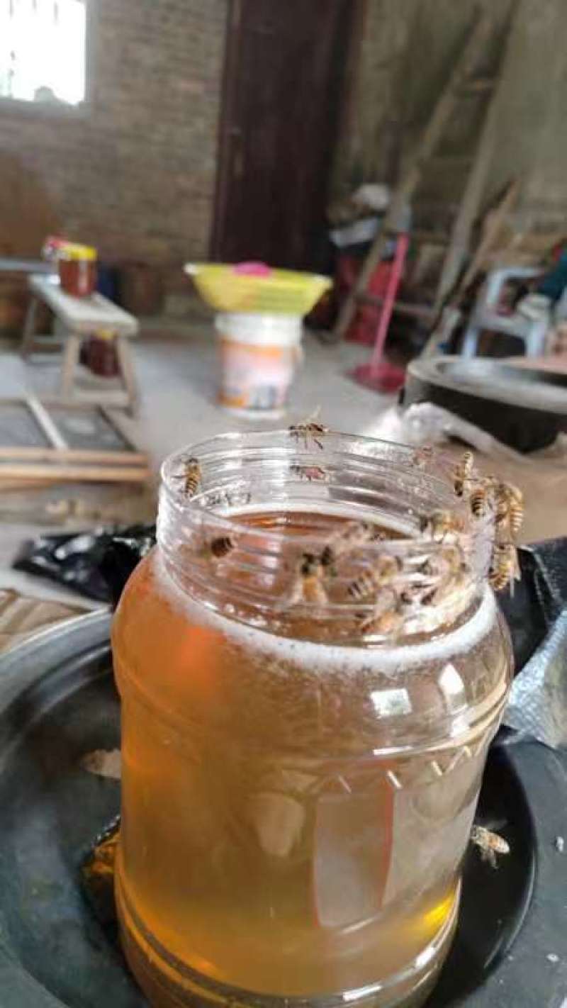 【精品】福建土蜂蜜，中蜂蜂蜜，质量保证，欢迎视频来电选购