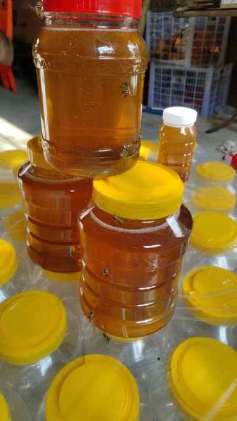 【精品】福建土蜂蜜，中蜂蜂蜜，质量保证，欢迎视频来电选购