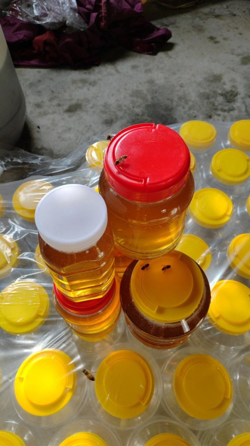 【精品】福建土蜂蜜，中蜂蜂蜜，质量保证，欢迎视频来电选购