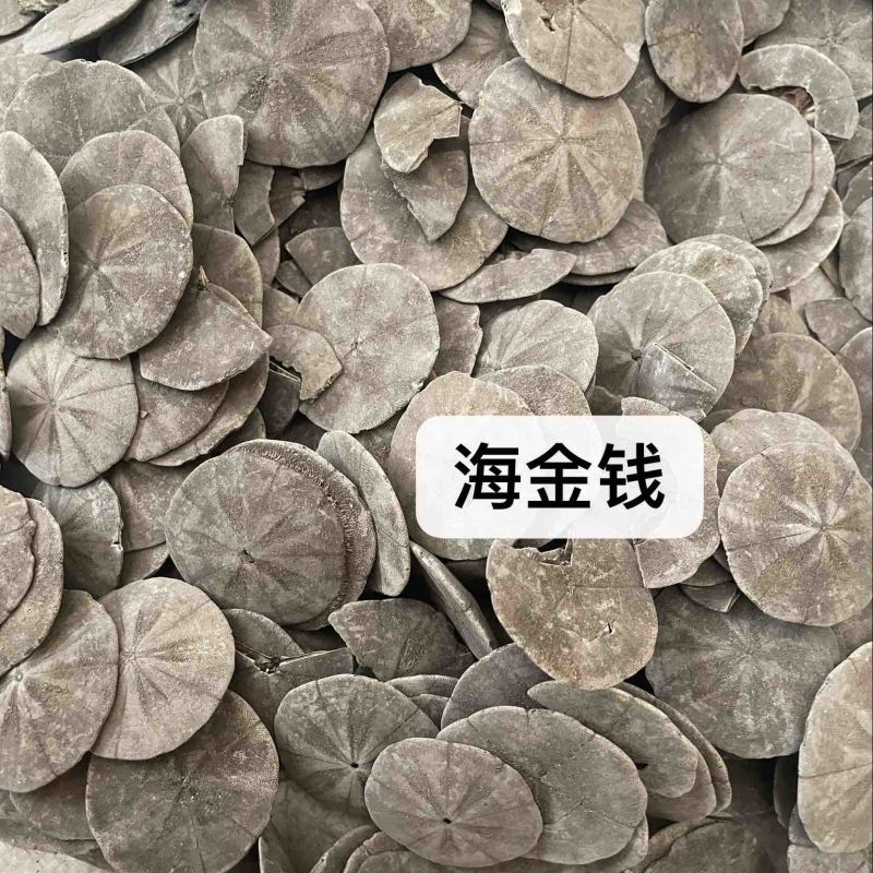 中药材批发海金钱产地直售批发价格保真保量