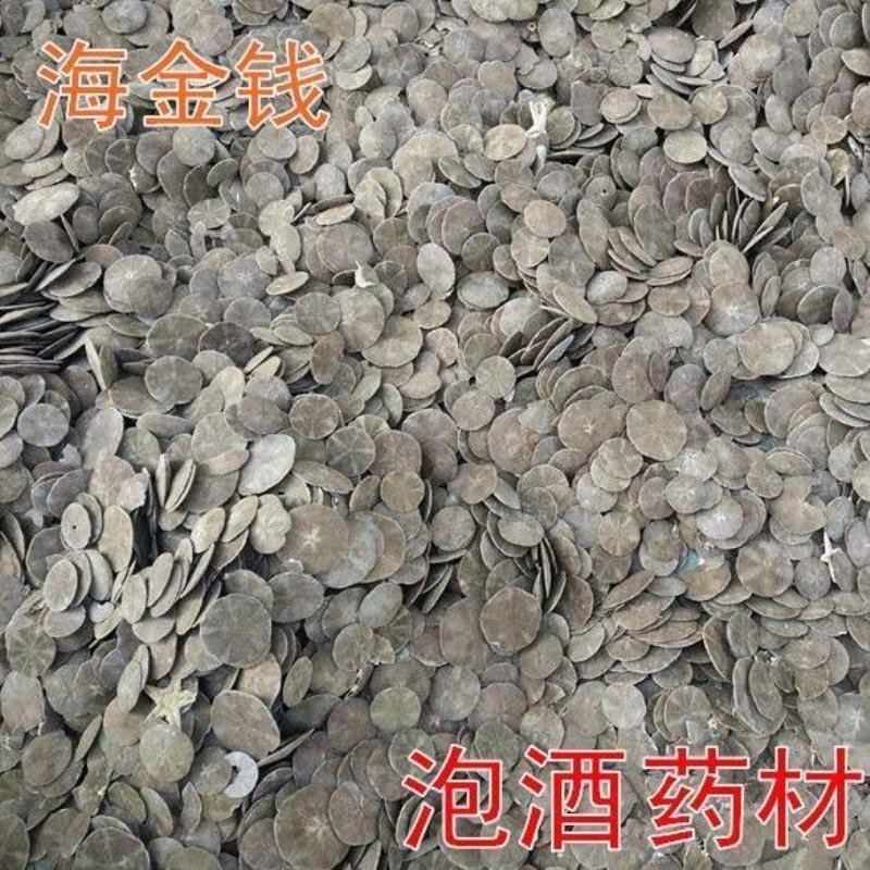 中药材批发海金钱产地直售批发价格保真保量