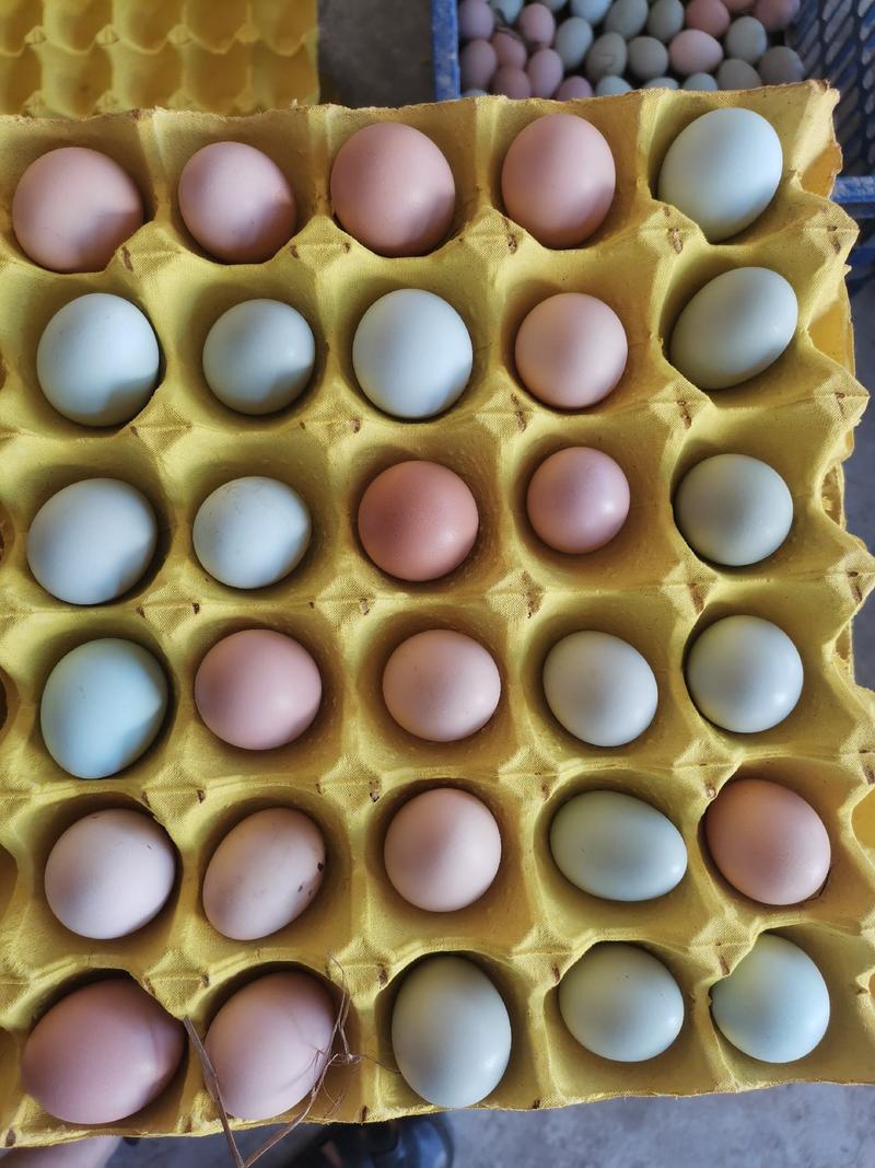 鸡蛋土鸡蛋湖北长寿散养初生蛋开窝蛋12个左右一斤质量保证