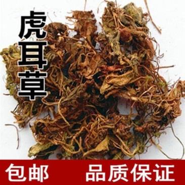 虎耳草正品中药材虎耳草、石荷叶、金钱吊芙蓉、耳朵红