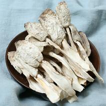 菌菇干货鸡腿菇产地直销批发食用菌新鲜烘干土特产蘑菇