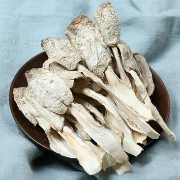 菌菇干货鸡腿菇产地直销批发食用菌新鲜烘干土特产蘑菇