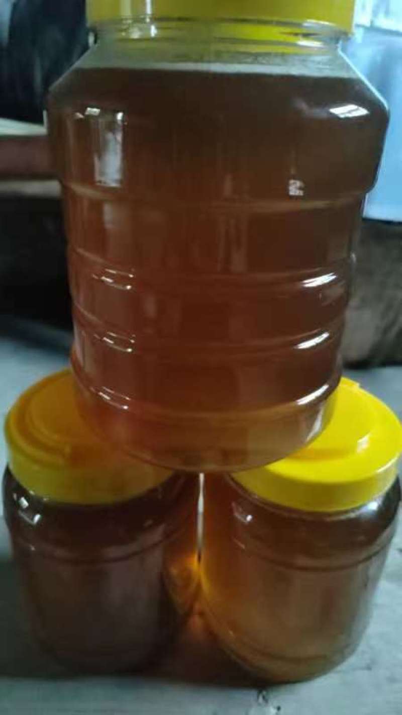 【精品】福建龙眼蜜，质量保证产地直发欢迎来电选购