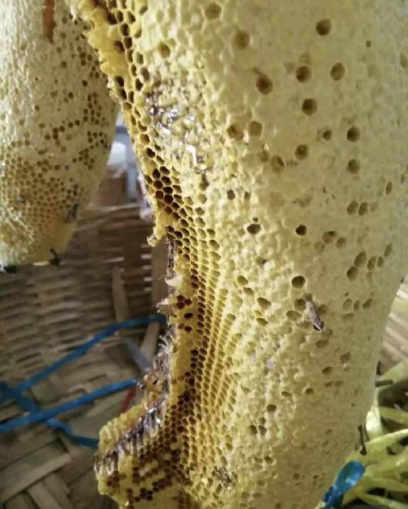 【精品】福建龙眼蜜，质量保证产地直发欢迎来电选购