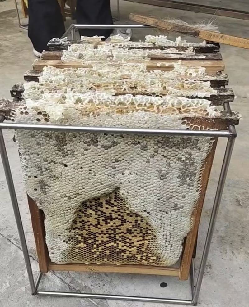 【精品】福建龙眼蜜，质量保证产地直发欢迎来电选购