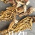 秦艽秦九
