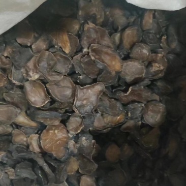 黑顺片黑附子