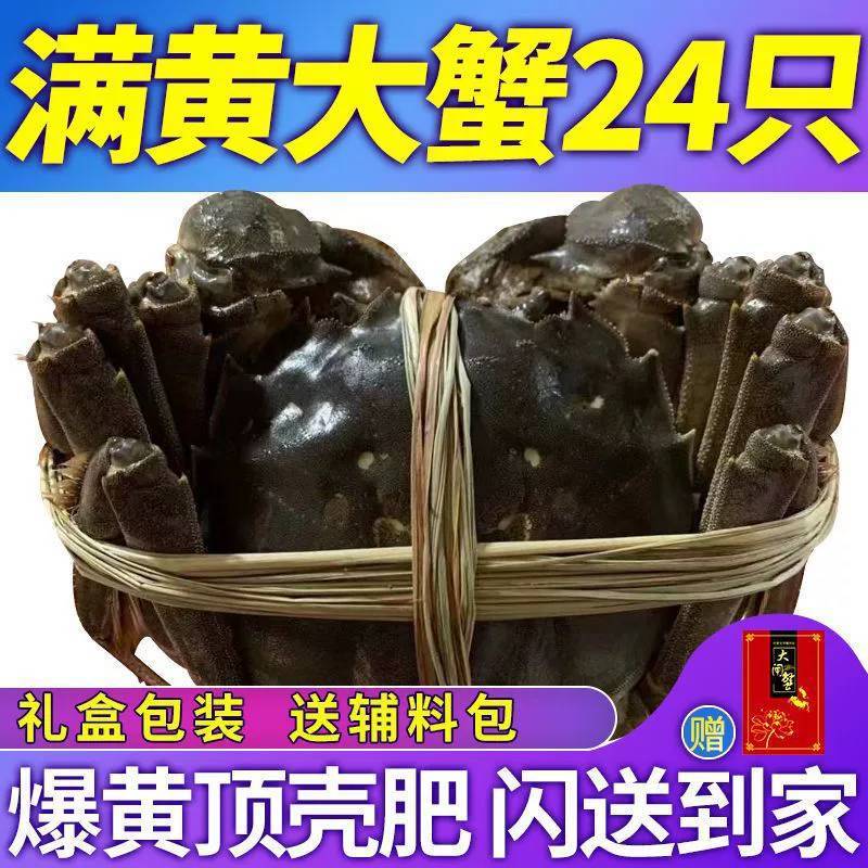 全母大闸蟹鲜活现货特大螃蟹礼盒装批发阳镇发六月黄16只