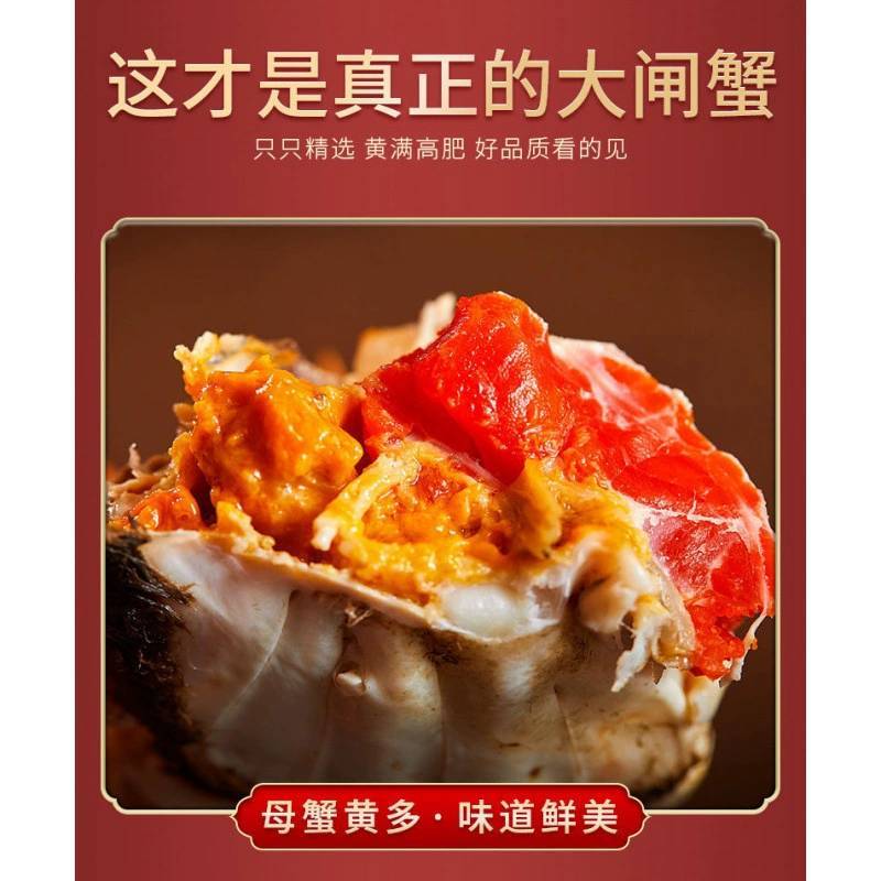 全母大闸蟹鲜活现货特大螃蟹礼盒装批发阳镇发六月黄16只