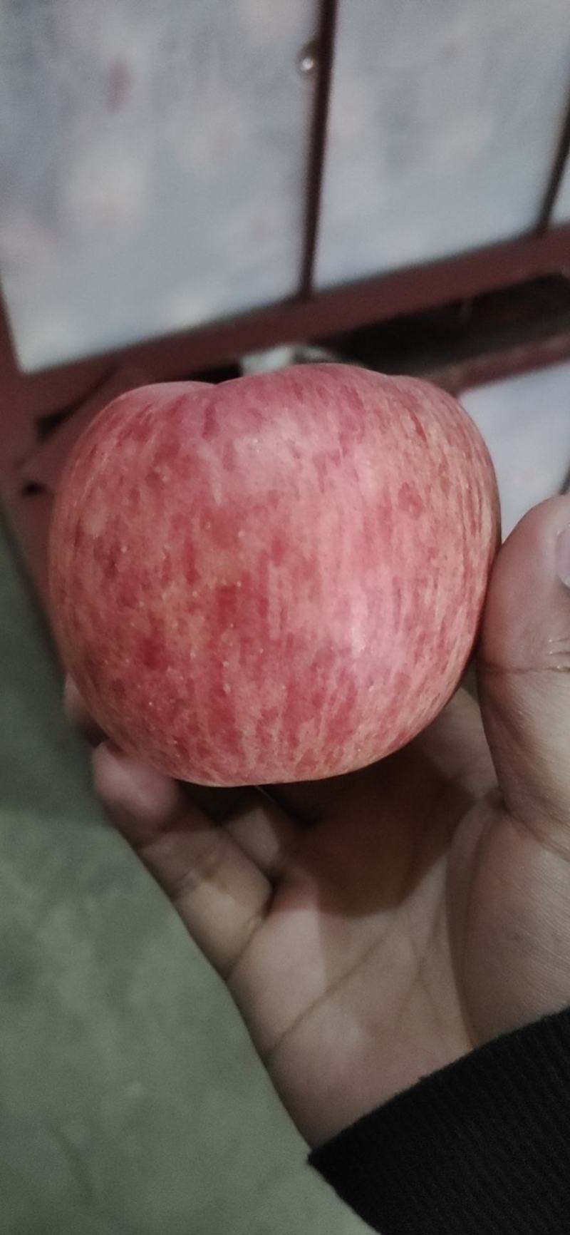 红富士苹果产地批发，一手货源，条红全红都有