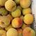 黄桃，罐头厂8.3黄桃加工对接电商，销售各大市场一手货源