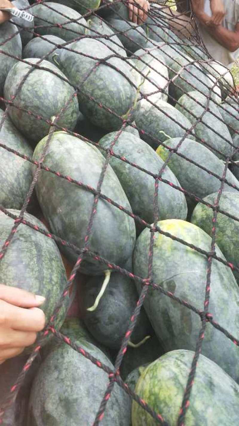 [荐]黑美人西瓜大西瓜新鲜现摘薄皮沙瓤甜瓜欢迎订购
