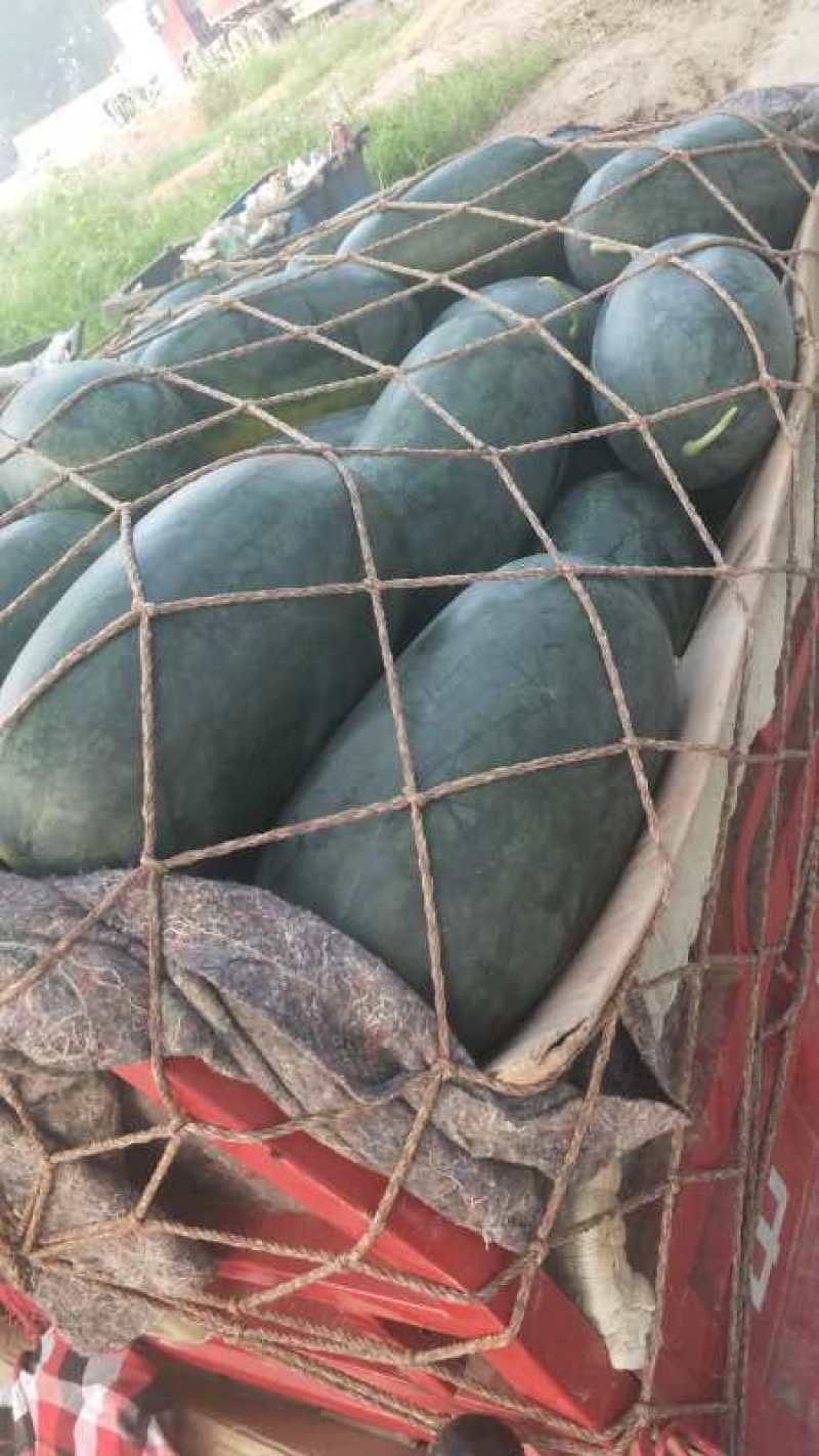 [荐]黑美人西瓜大西瓜新鲜现摘薄皮沙瓤甜瓜欢迎订购