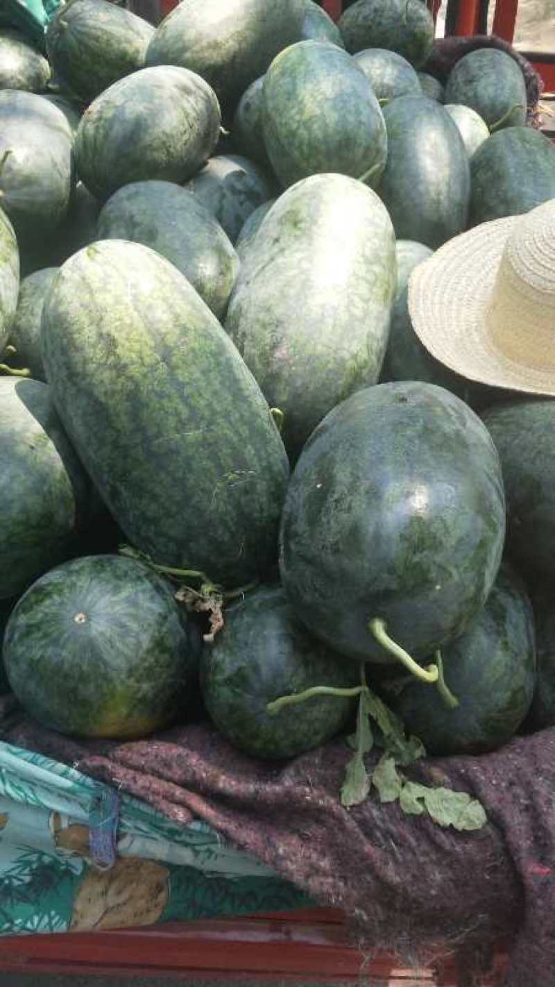 [荐]黑美人西瓜大西瓜新鲜现摘薄皮沙瓤甜瓜欢迎订购