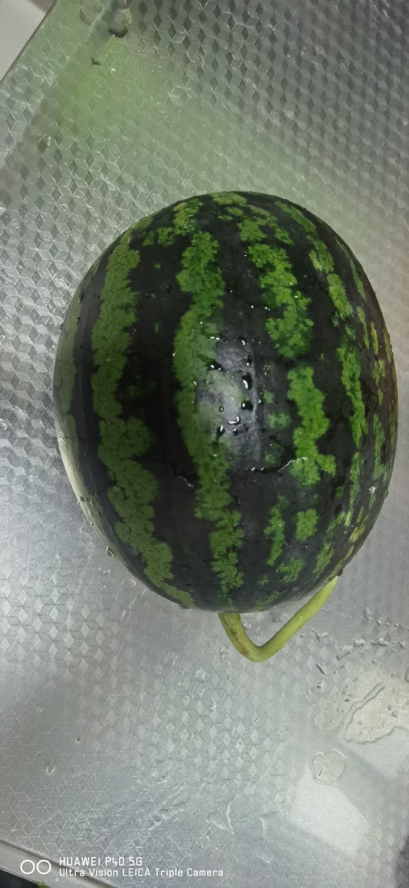 东台西瓜美都，8424.特小凤.4K麒麟瓜大量上市