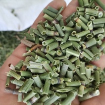 木贼草节节草