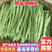 山西应县精品芸豆、扁豆角、条型好，产地直供货源充足