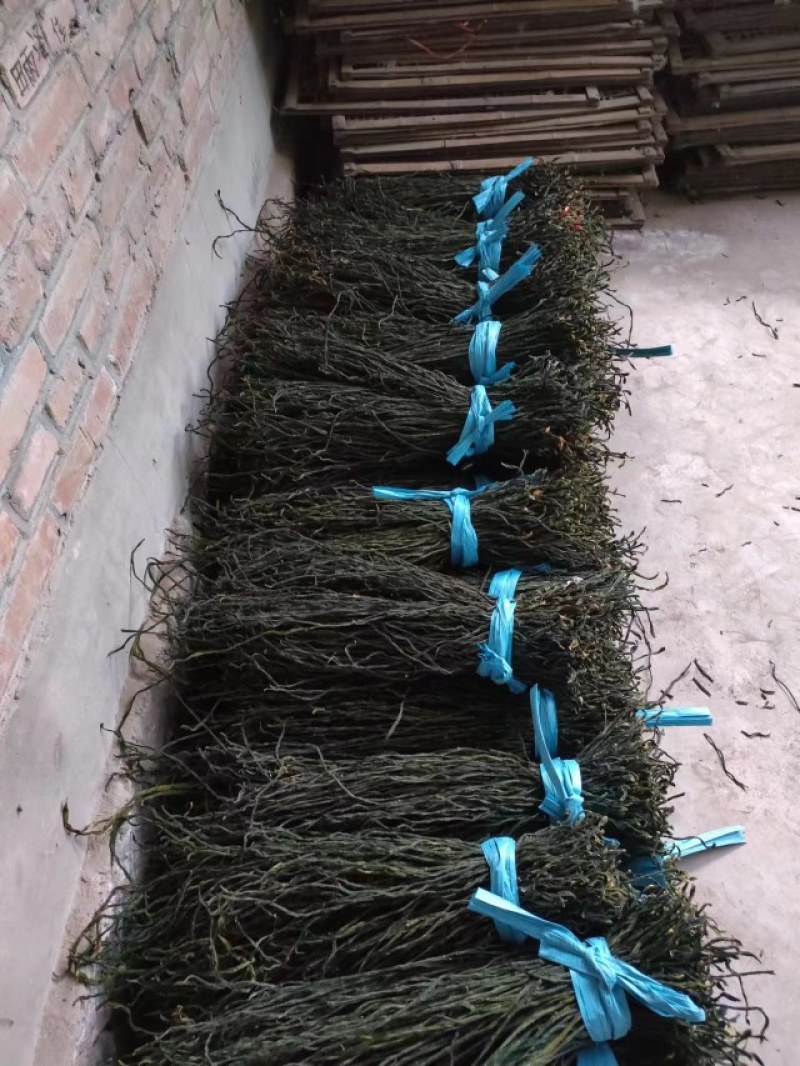 【干豆角】晒豆角，烘干角，食堂货，电商货，直条，乱条。