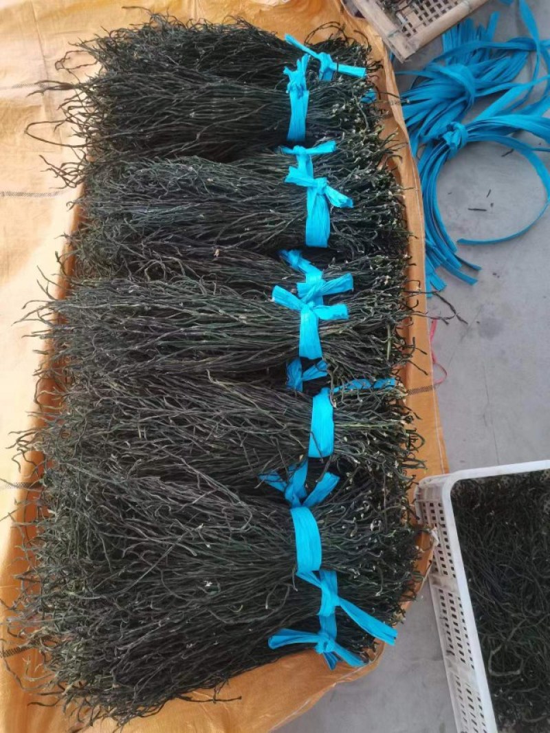 【干豆角】晒豆角，烘干角，食堂货，电商货，直条，乱条。