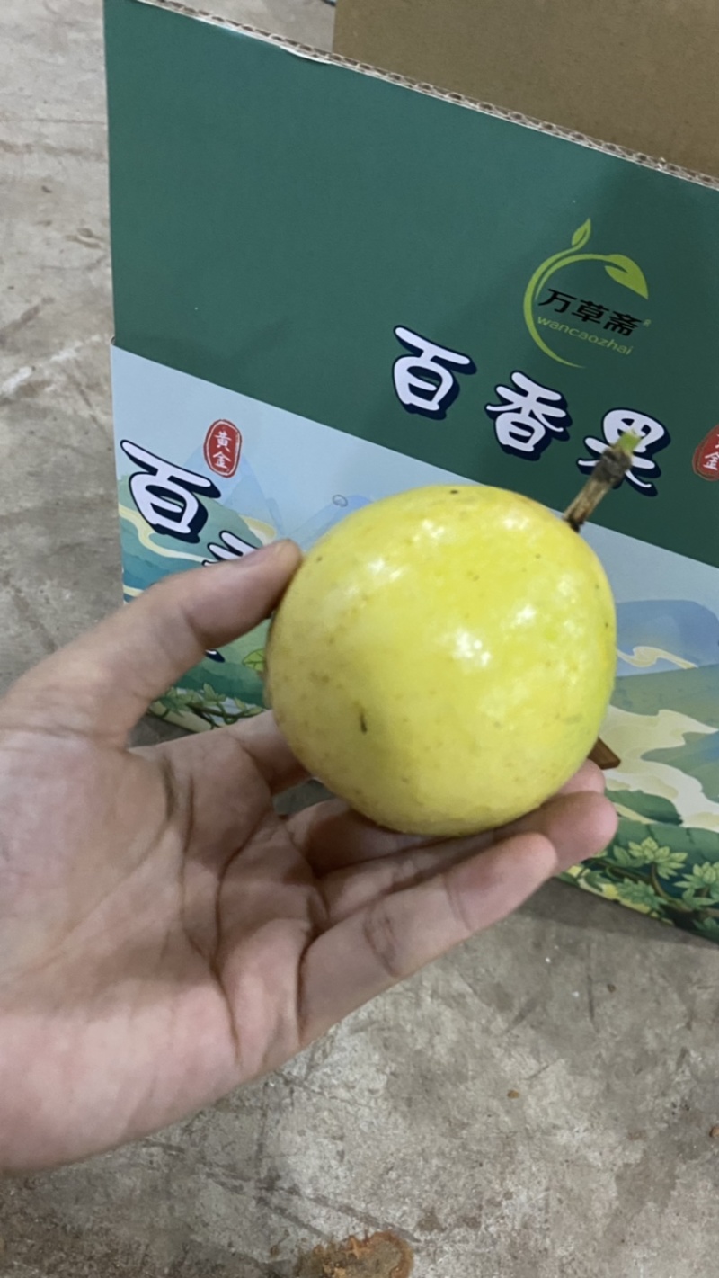 钦蜜9号黄金百香果