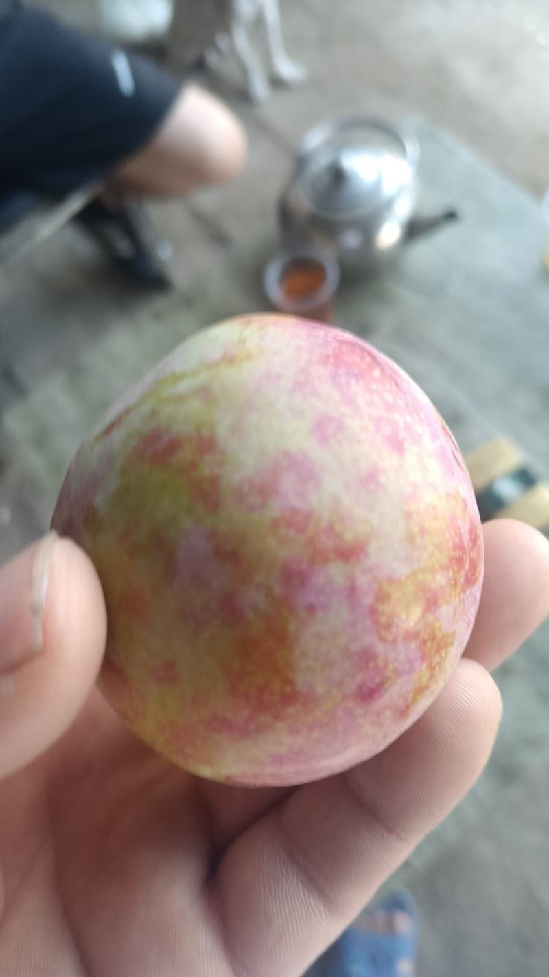 干碗李子。无名李。西瓜李子。吉盛李子