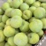 青脆李
