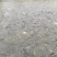 江水罗非鱼。清甜，没有泥巴味。