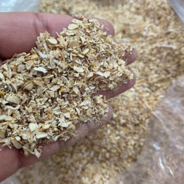 【精品】西洋参颗粒打粉神器一手货源大量上市需要的联系