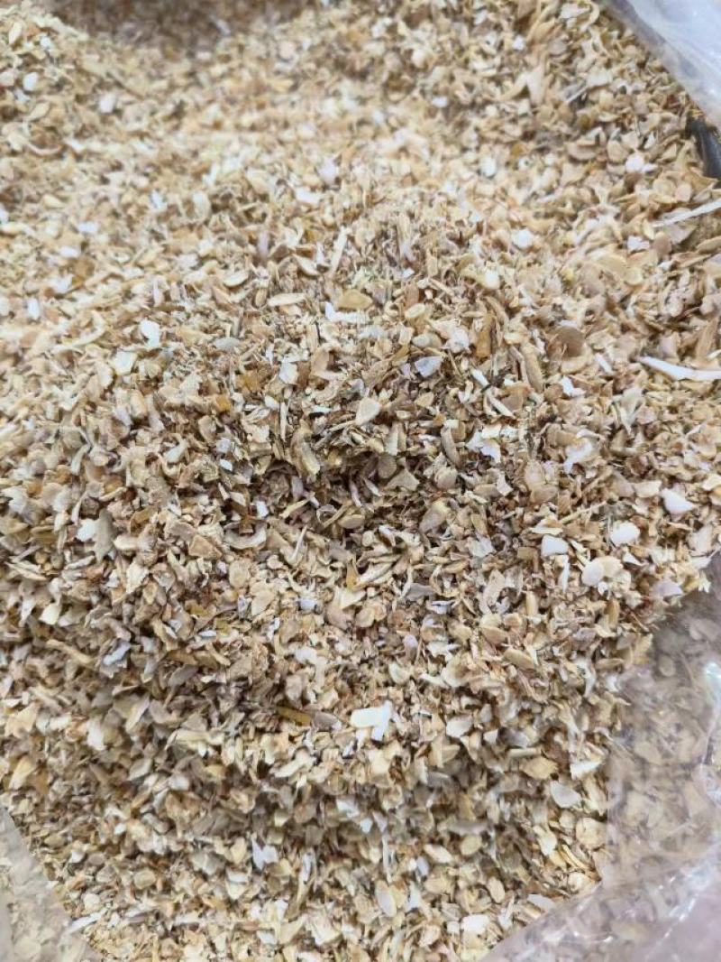 【精品】西洋参颗粒打粉神器一手货源大量上市需要的联系