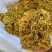 【推荐】菊花下料一手货源量大量大价格便宜需要联系打粉神器