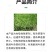 阔慌65%2甲4氯二甲四氯胺盐、水稻一年生阔叶杂草