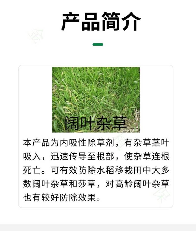阔慌65%2甲4氯二甲四氯胺盐、水稻一年生阔叶杂草