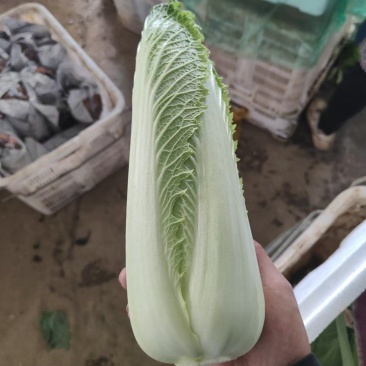 云南货