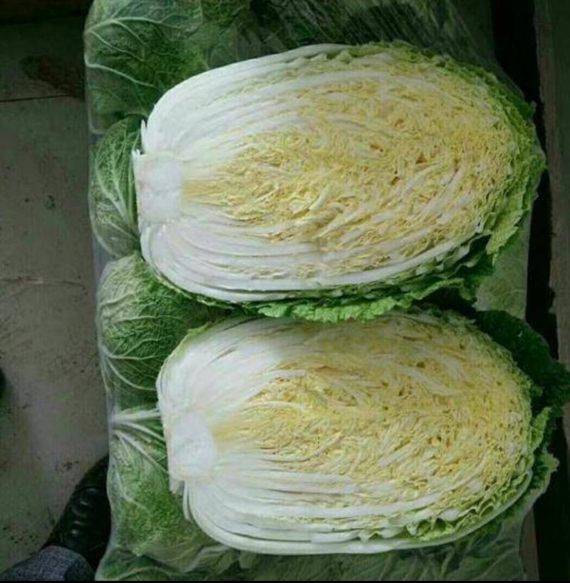 湖南岳阳黄心白菜大量现货保质保量全国代发欢迎选购