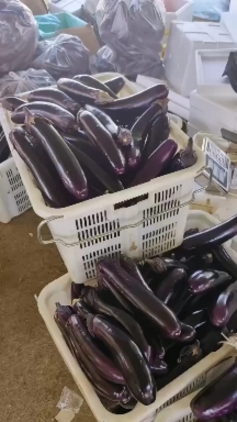 烧烤茄