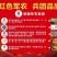 丝路兵团全脂驼乳粉配料干净只有生驼乳一罐320克
