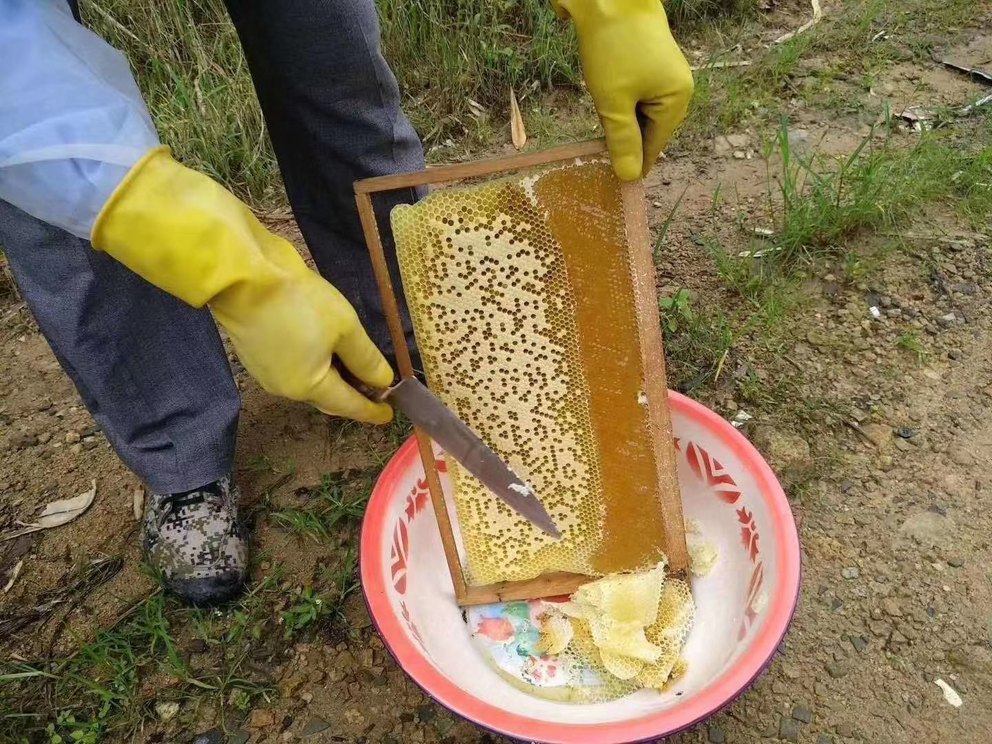 一位老蜂农正在从传统木制蜂箱中取出充满蜂蜜的蜂巢