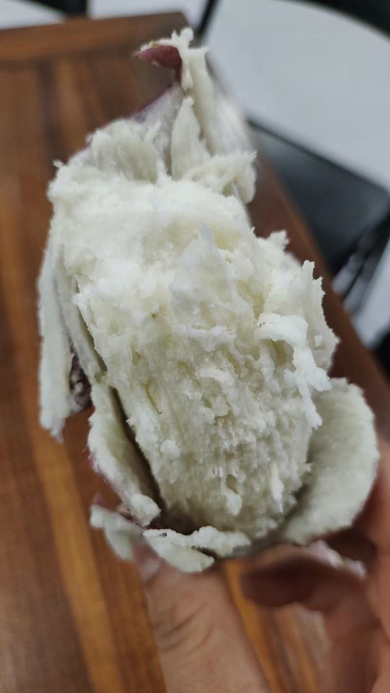五里香巨粉王