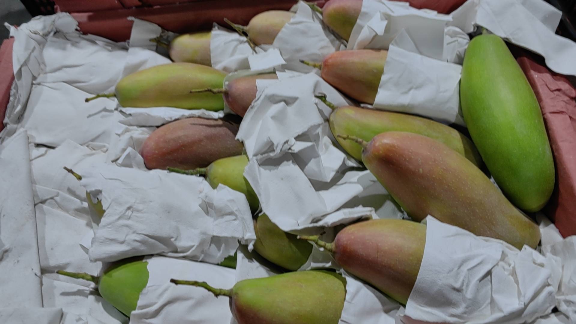 芒果被黄色纸质包裹放置在木筐中