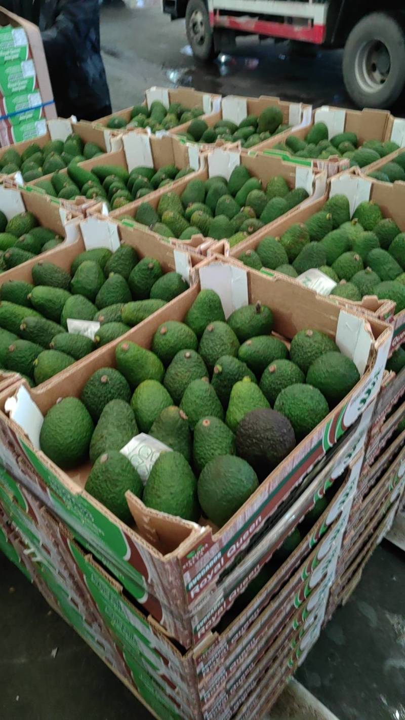 上海发货催熟牛油果，秘鲁催熟牛油果，量大从优