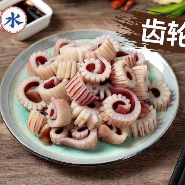 鱿鱼全系列